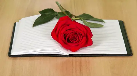 © Laboko | Dreamstime.com - Book With A Red Rose Photo