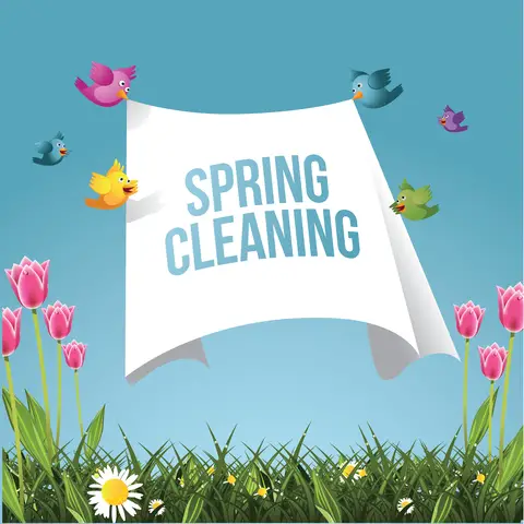 © Shelma1 | Dreamstime.com - Cartoon Birds Flying With Spring Cleaning Message Photo