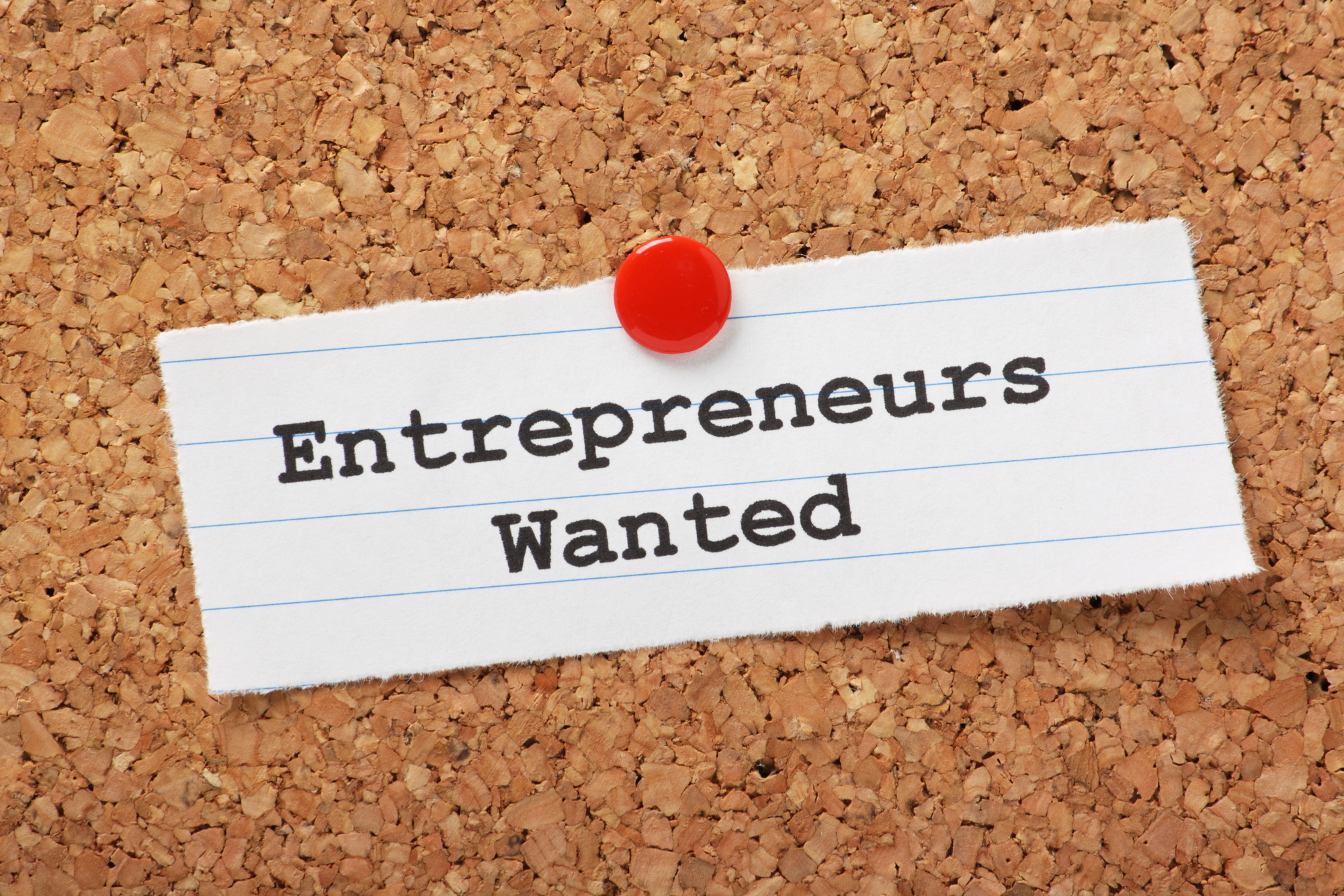 Entrepreneurs Wanted