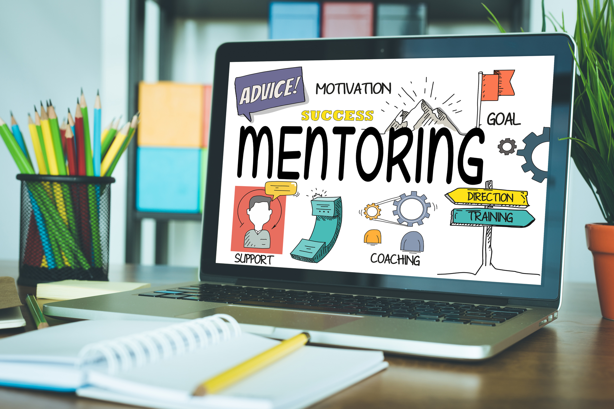 Mentoring for Entrepreneurs