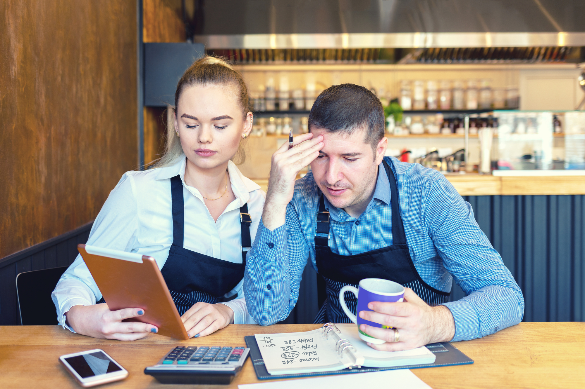 Tax Portrait of Business Owners